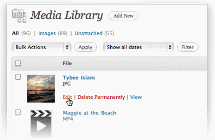 Add media to WordPress Wordpress Development