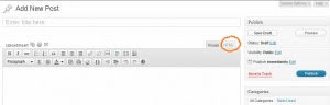 WP Post editor