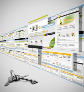 must haves in websites